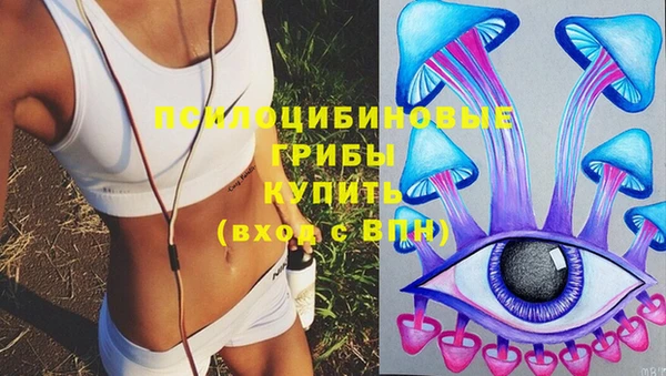 jwh Аркадак